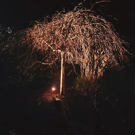 'cliona' Deluxe Double ホームステイ *